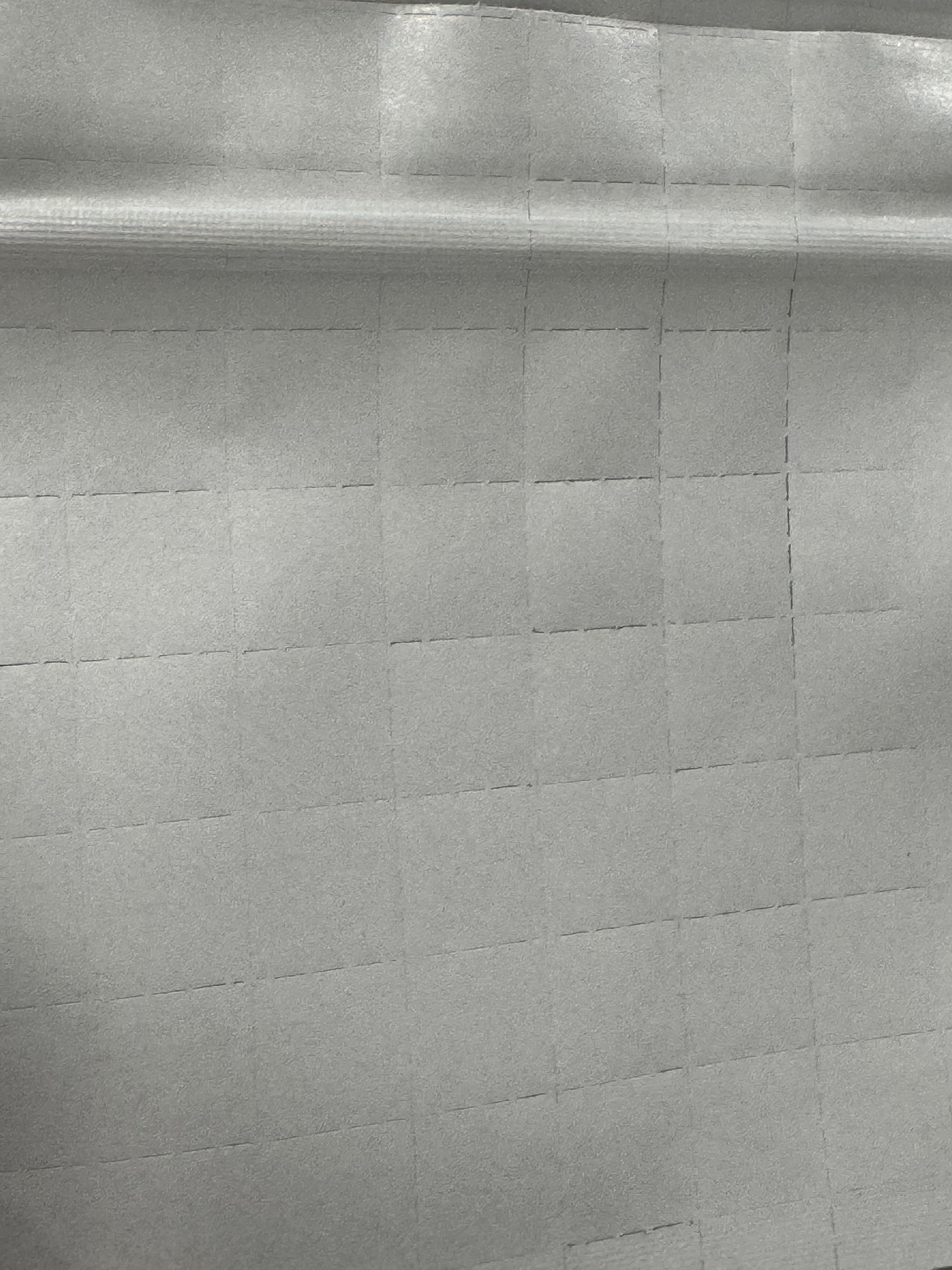 Blotter Budz Mylar Bags 3.5g back closeup