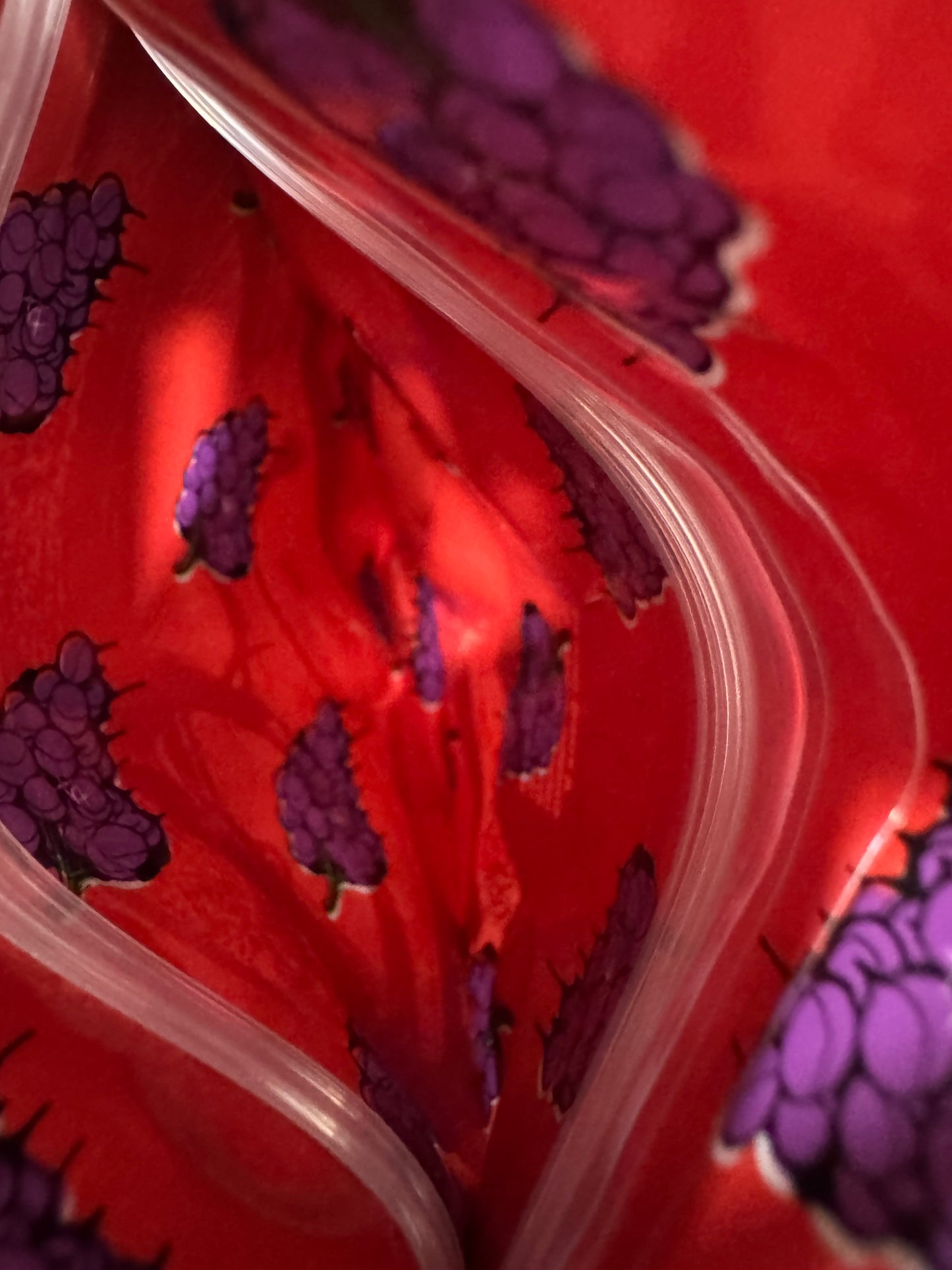 Lamez Mylar Bags 3 5G Life Is Not Grape — 3.5g pre‑printed mylar bag — back