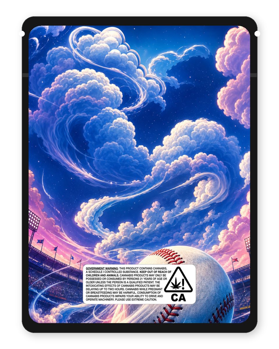 HomeRun Kloudz custom 4"x5" mylar bag design (back)