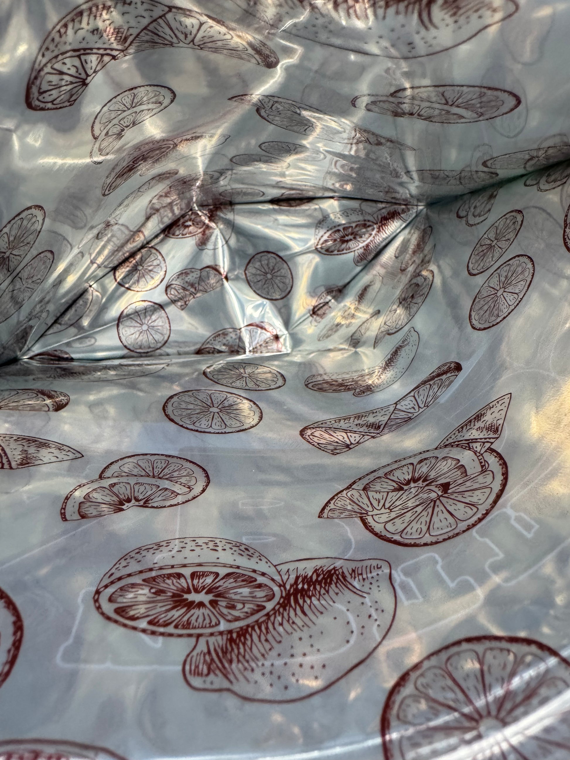 Kabosu Zozi Mylar Bags 1 lb (Pound) The Ten Co interior