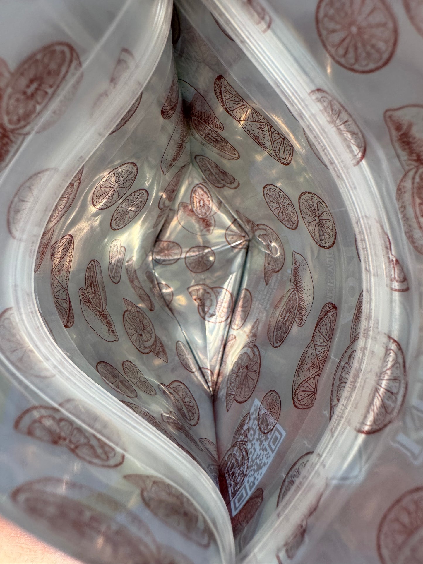 Kabosu Zozi Mylar Bags 3.5g The Ten Co interior